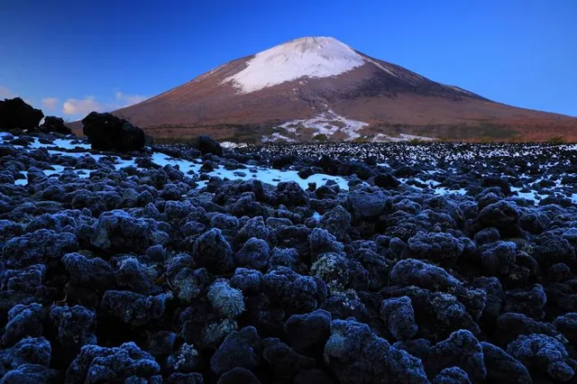 photo-1