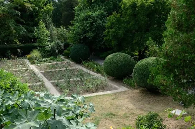 UzhNU Botanical Garden