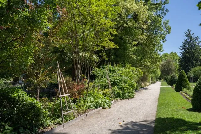 Parco di Villa Toeplitz