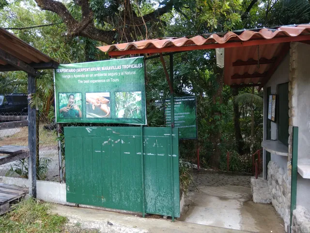 Serpentario Maravillas Tropicales