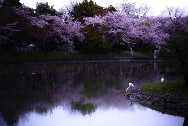 Reverie Winery Estate