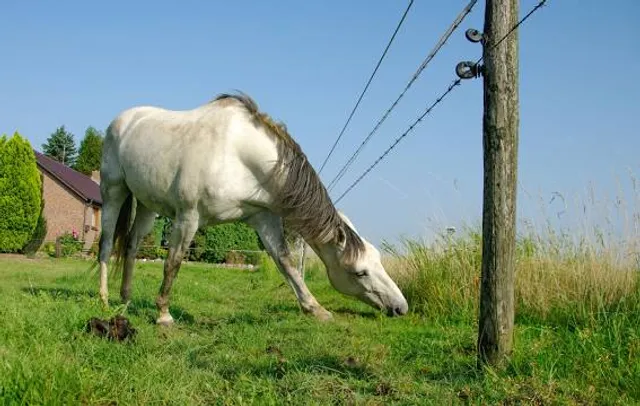 ValiAsr Park، Dez Riverside