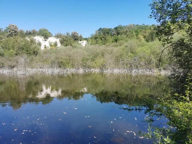 Grays Chalk Quarry Nature Reserve