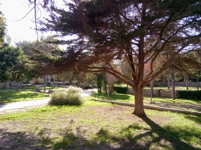 photo-1