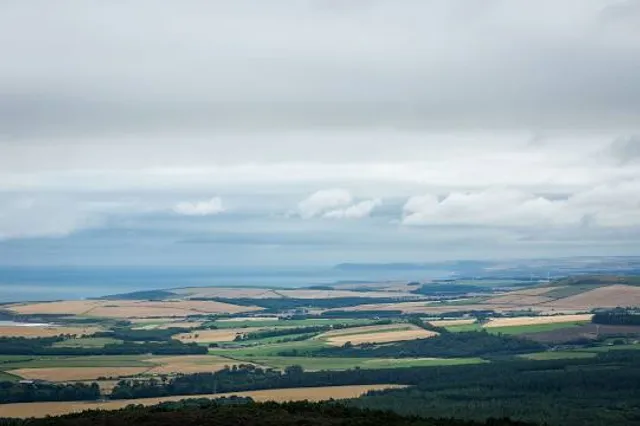 place image
