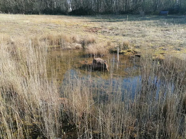 Eardington Nature Reserve