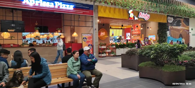 Mall Plaza de las Americas