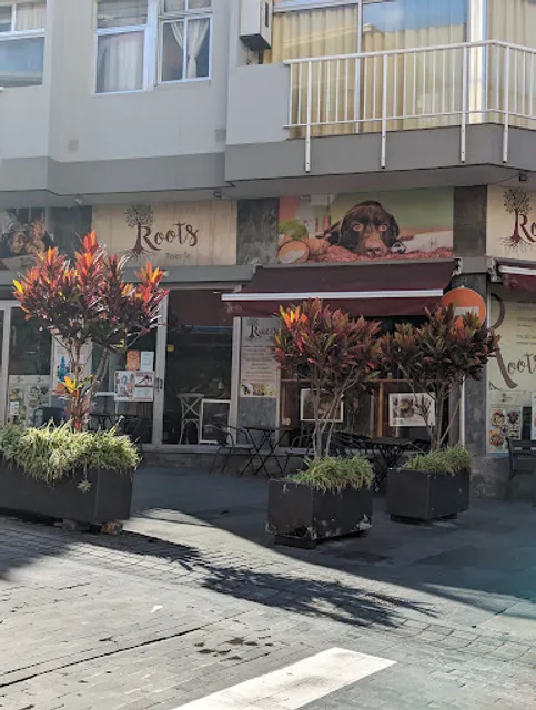 Roots Tenerife Puerto de la Cruz