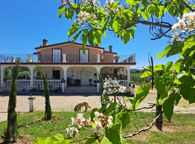 Casa vacanze La Giuggiola