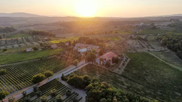 Agricola LOSI Querciavalle