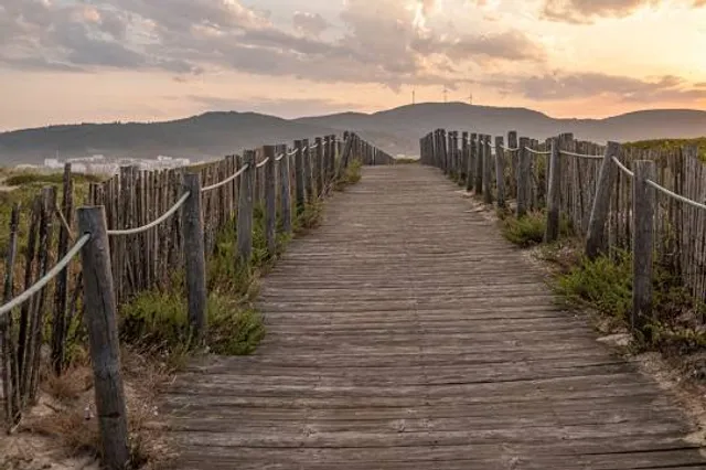 Praia do Forte do Cão