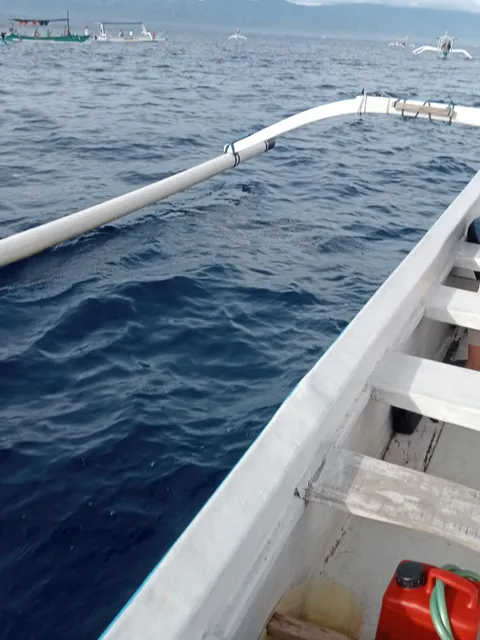 Lovina Dolphin Watching