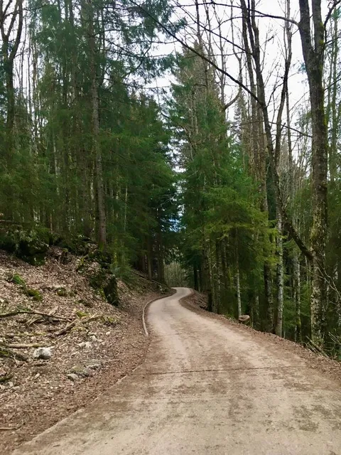 Skigebiet Winklmoosalm