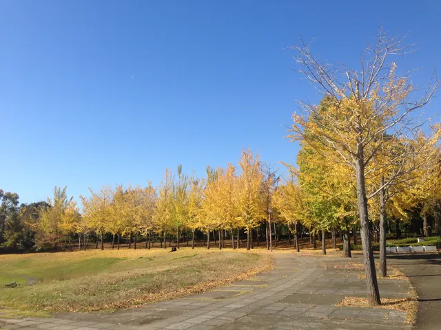 Science Expo Memorial Park