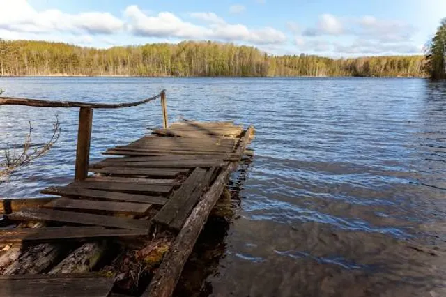 Колтушское городское поселение