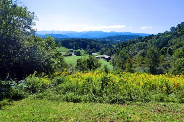 Bailey Mountain Preserve