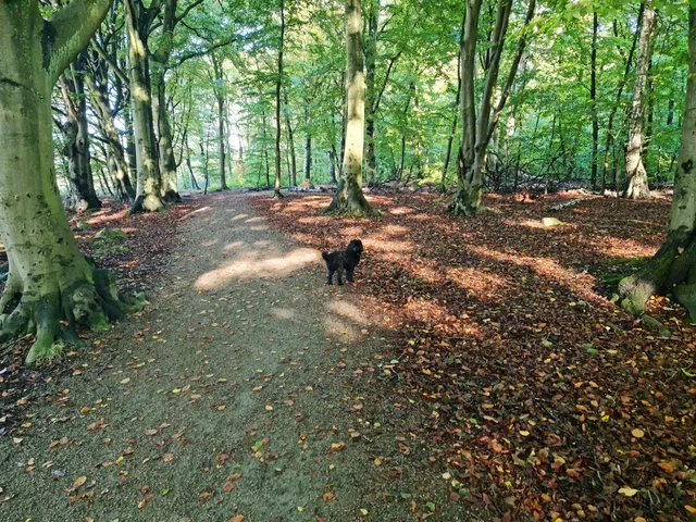 Välaskogs naturreservat