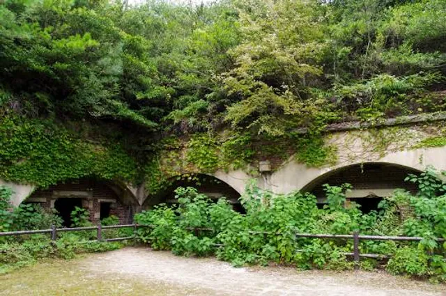 Northern Cannon Battery Remnants