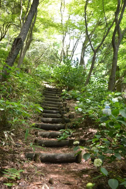 Maya Botanical Garden