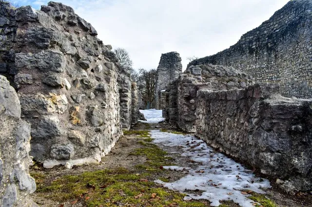 château du Falkenstein