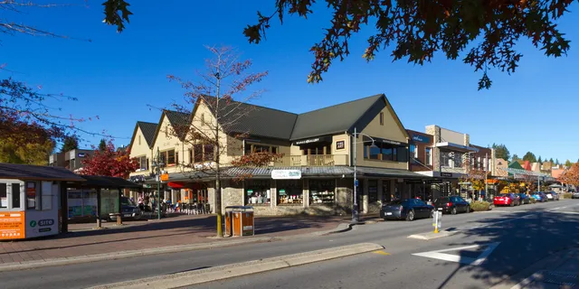 Wānaka Fine Art Gallery