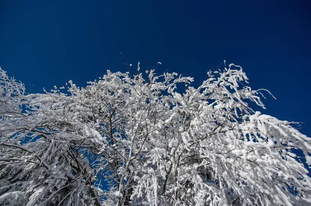 Gora Bol'shoy Shelom