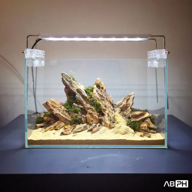 ABPH - Aquarium Boi PH