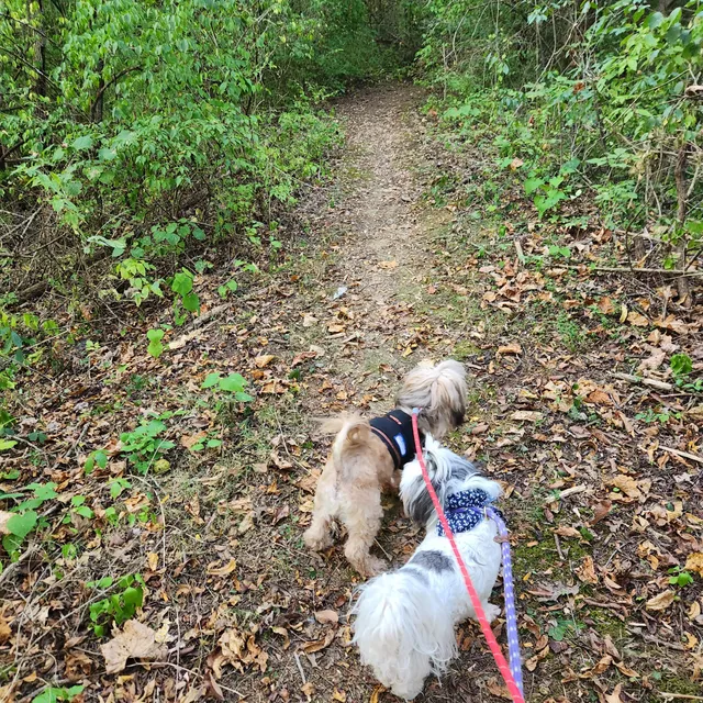 Artisan Center Nature Trail