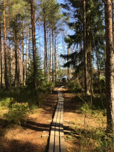 Träskmossen nature trail