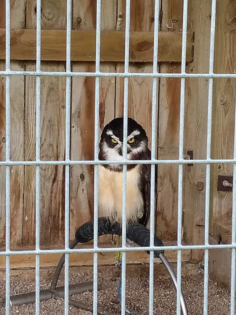 Huntly Falconry Centre