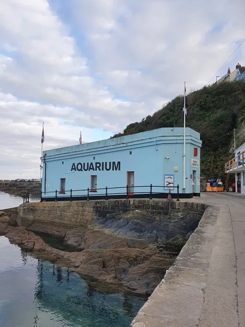 Mevagissey Aquarium