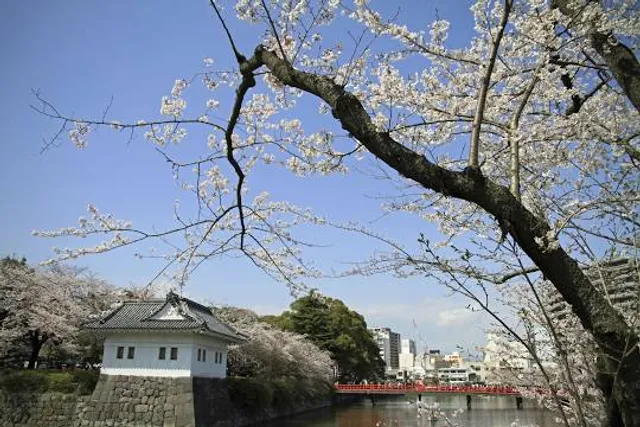 photo-2