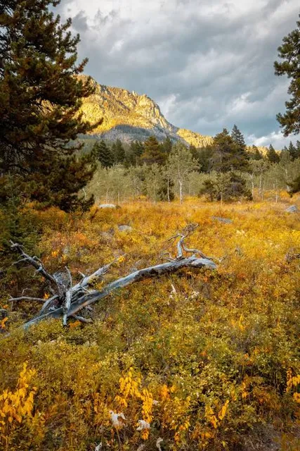 Sioux Charley Lake Trailhead