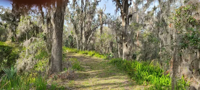 Alafia River Corridor Nature Preserve - North