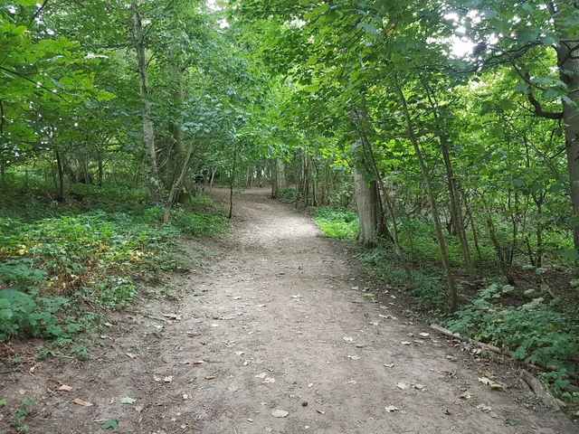 Bisham Woods