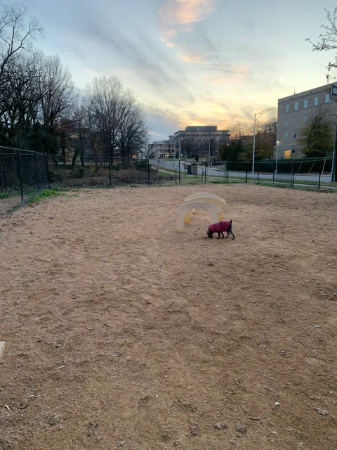 Downtown Durham Dog Park
