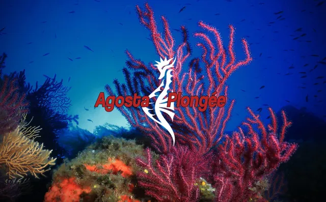 Agosta Plongée