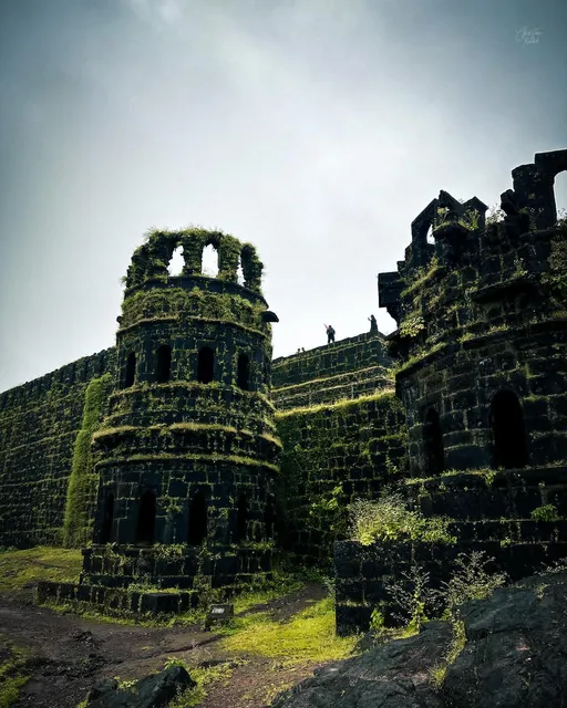 photo-1