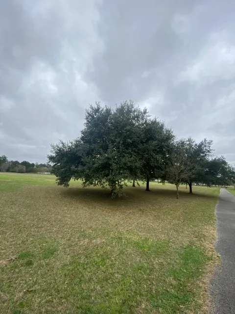 Richard D Taylor Park