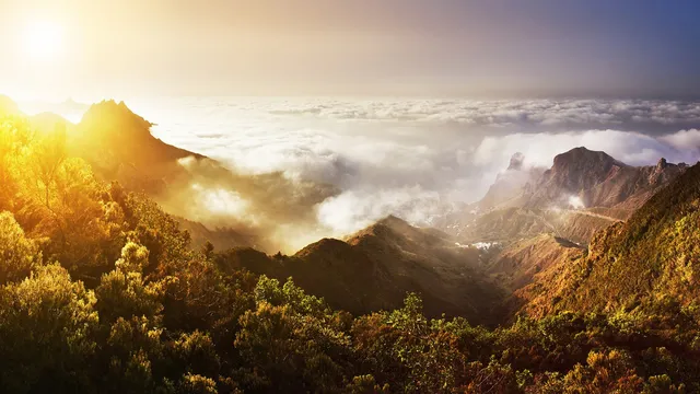 Apartment Roque del Conde