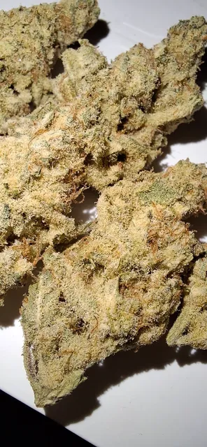 King St. Food Market LLC