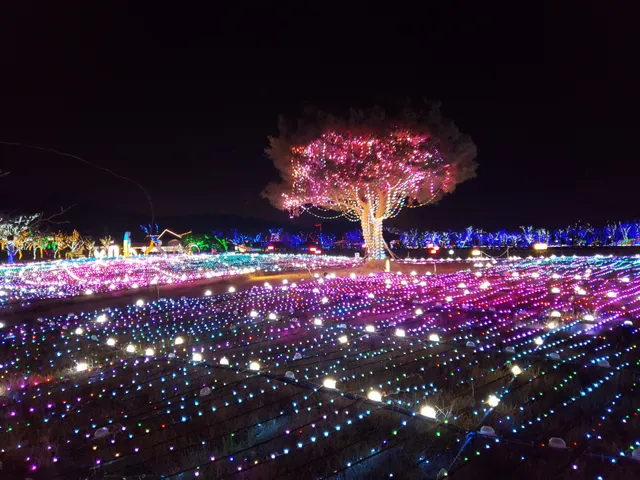 렛츠런파크 부산경남