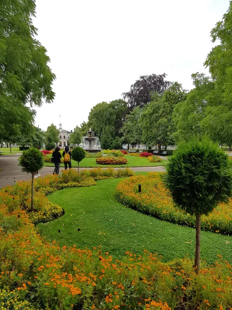 photo-1