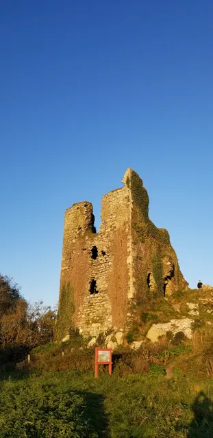 Anne Valley nature walk