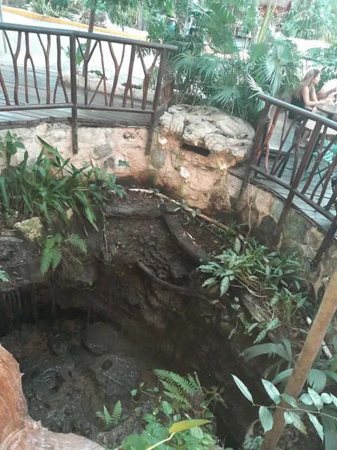 Cenote urbano