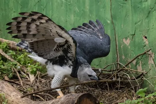 Região Geográfica Imediata de Itabaiana