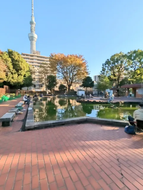 Sumida Park Fishing Pond
