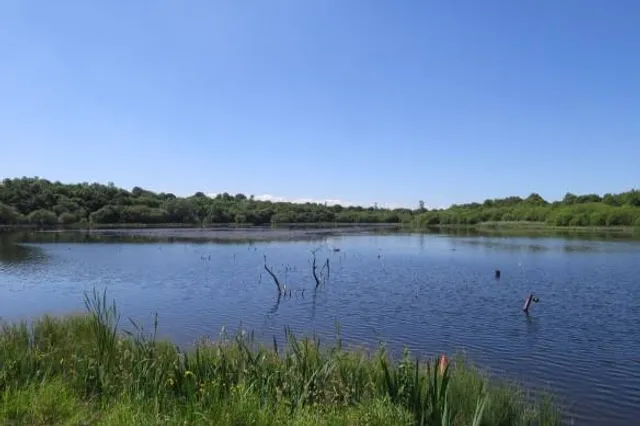 Frankfield Loch