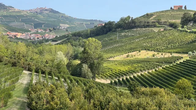 Langhe e Roero Tours