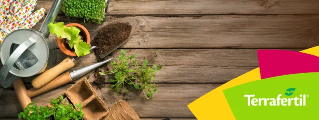 Terrafertil S.A.